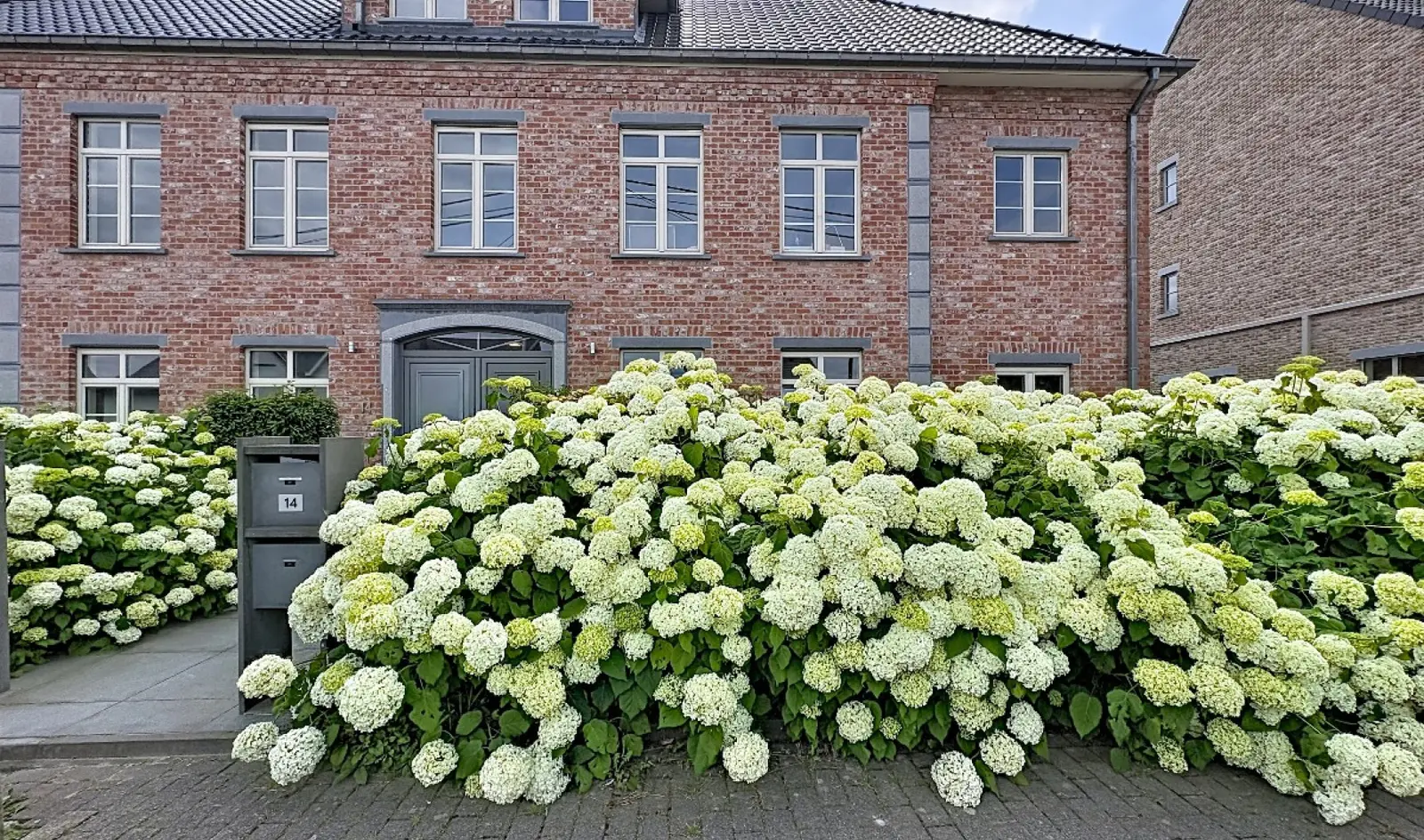 Ruim appartement met 4 slaapkamers in Grimbergen