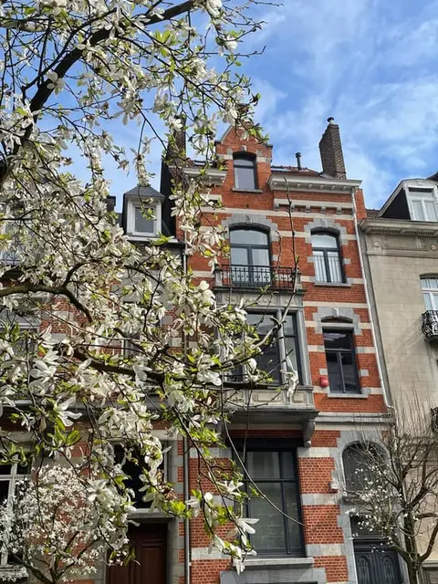 Renovated town hown house in quiet central location