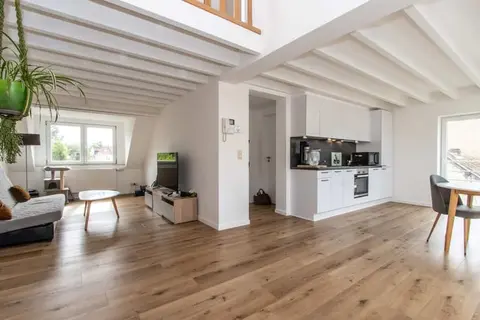 Duplex